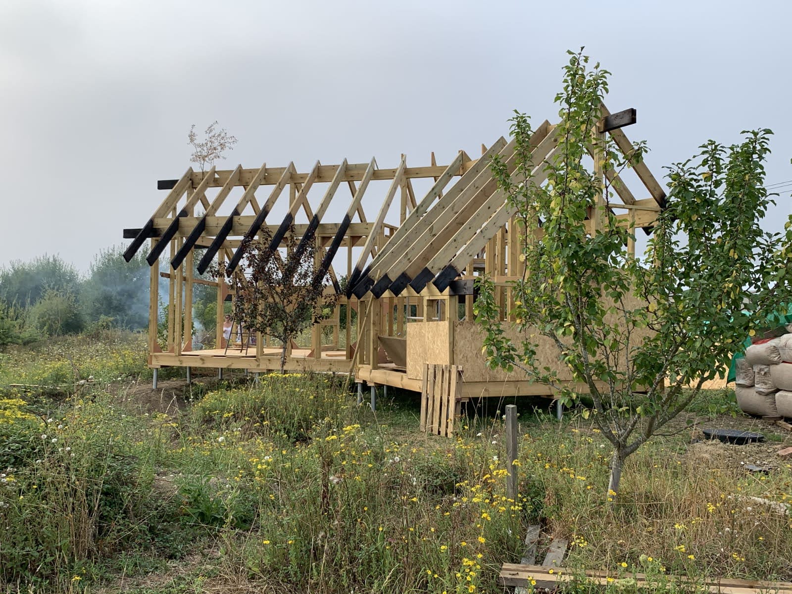 Beyond deep sustainability: the health and design benefits of natural building materials