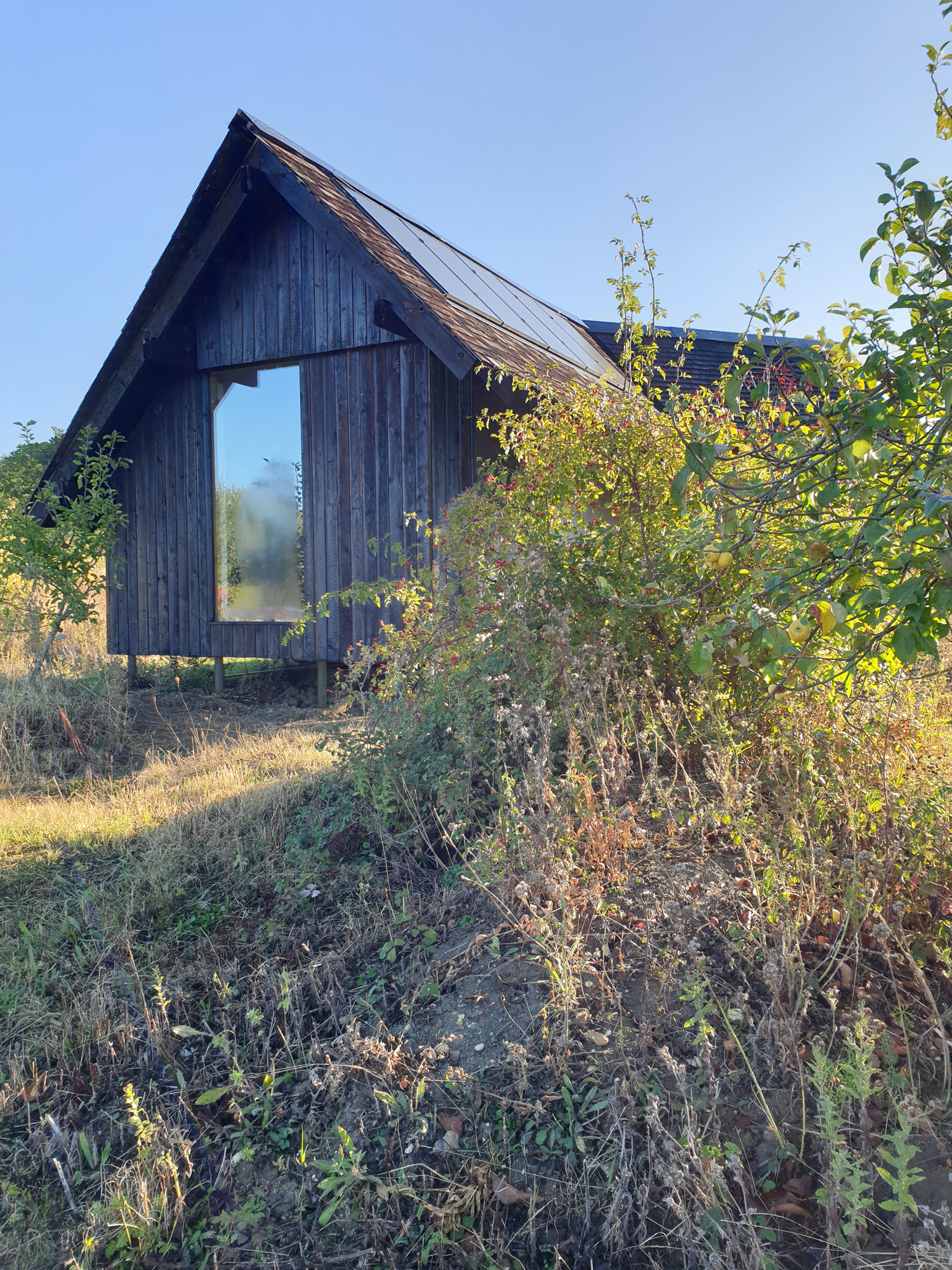 Rewild – NATURAL BUILDING STUDIO